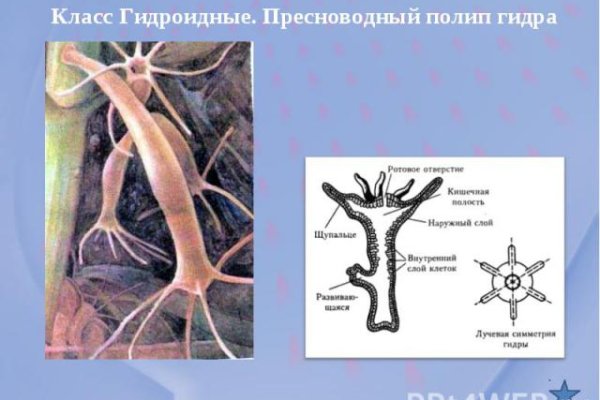 Кракен площадка kr2web in